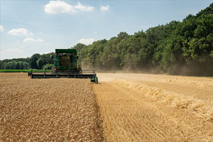 Traders360 - Picture of Agriculture, Food Processing Machinery and Equipment